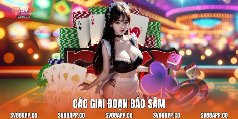 Các giai đoạn báo sâm