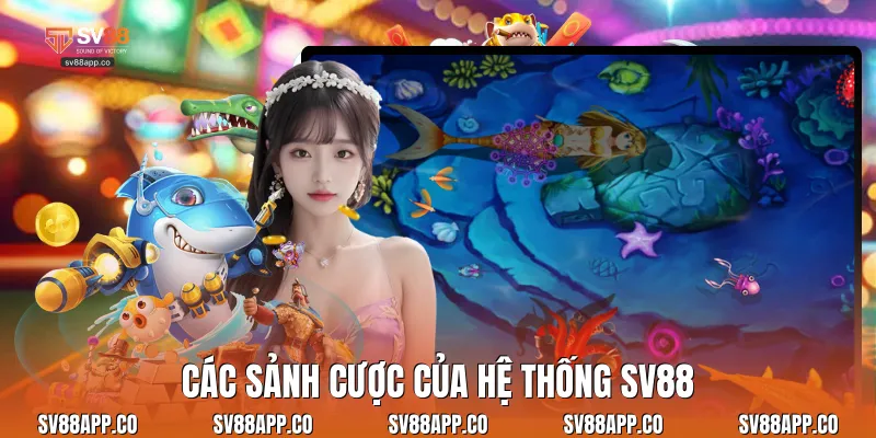 Các sảnh cược của hệ thống Sv88