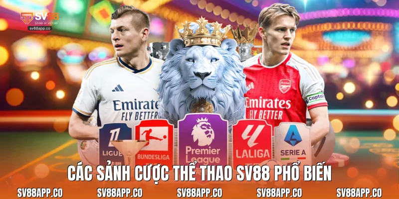 Các sảnh cược thể thao Sv88 phổ biến